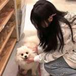 俺来当英雄最新版下载